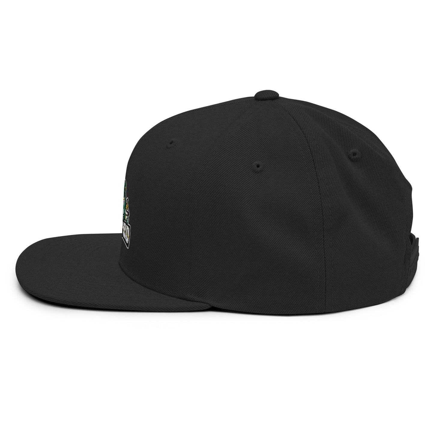 CLASSIC ELEVATED GANG SNAPBACK HAT